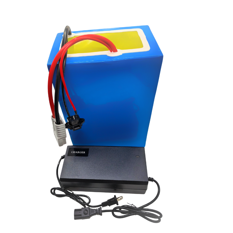 72V 100Ah リチウムイオン充電器付き内蔵 100A  - 72V 40Ah Lifepo4 Battery Pack のレビューと価格